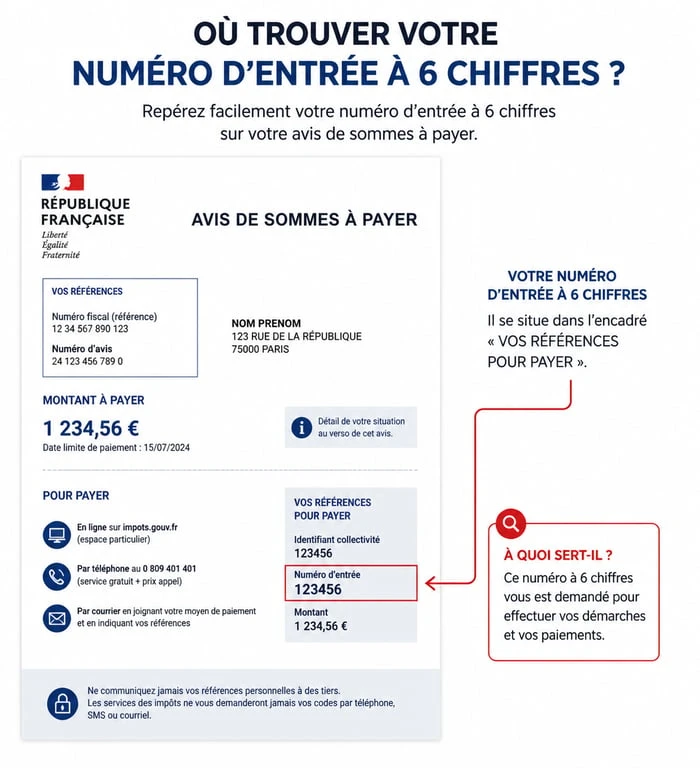 Localisation du numéro d'entrée sur un avis de sommes à payer pour le service PayFIP